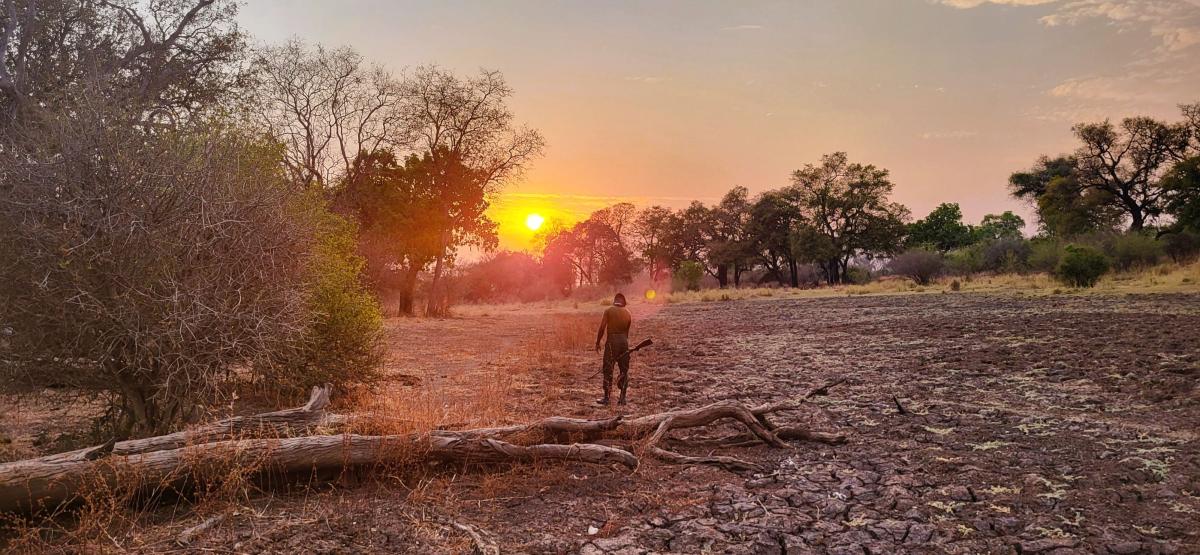 Vandresafari  |    Foto:  Wenche - La'mme 