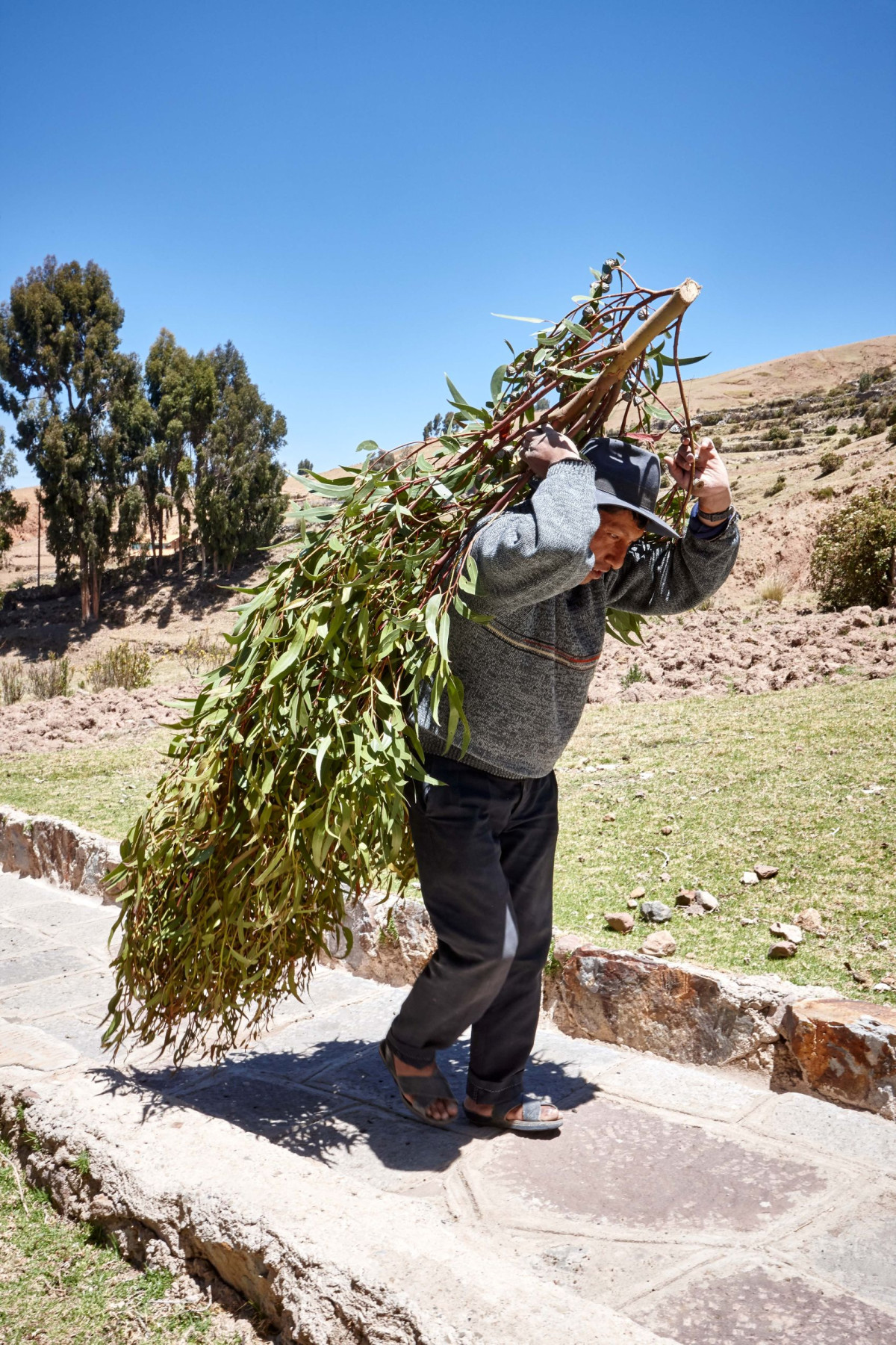     Foto:  Amantica Lodge 