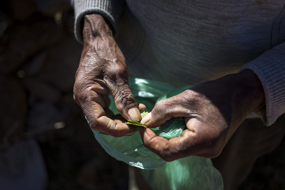      Foto:  Amantica Lodge 