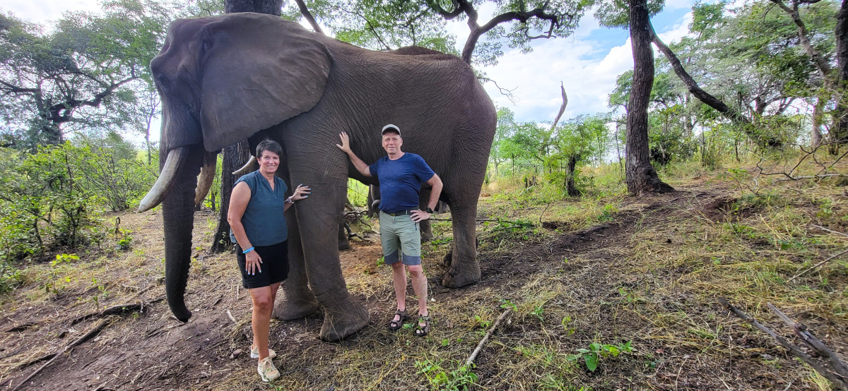 Elefantkos utenfor Victoria Falls