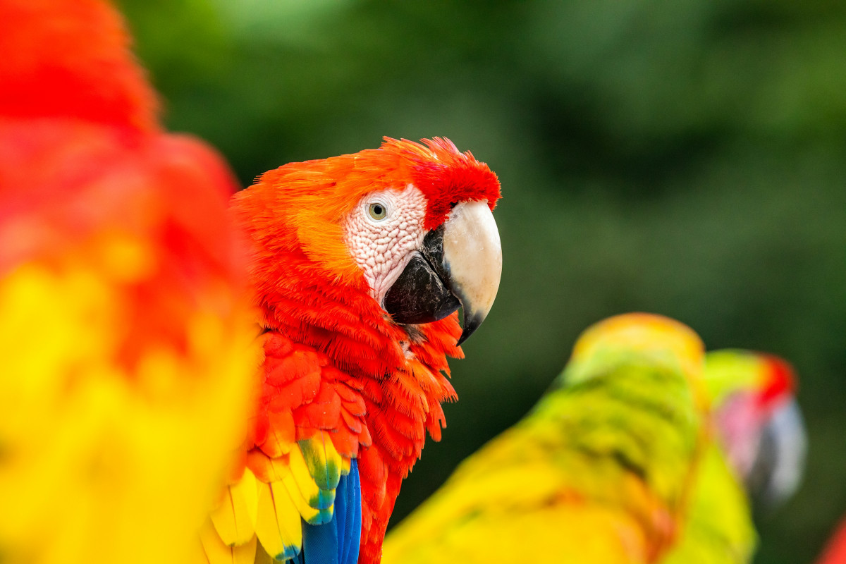      Foto:  Zdenek Machacek - Unsplash 