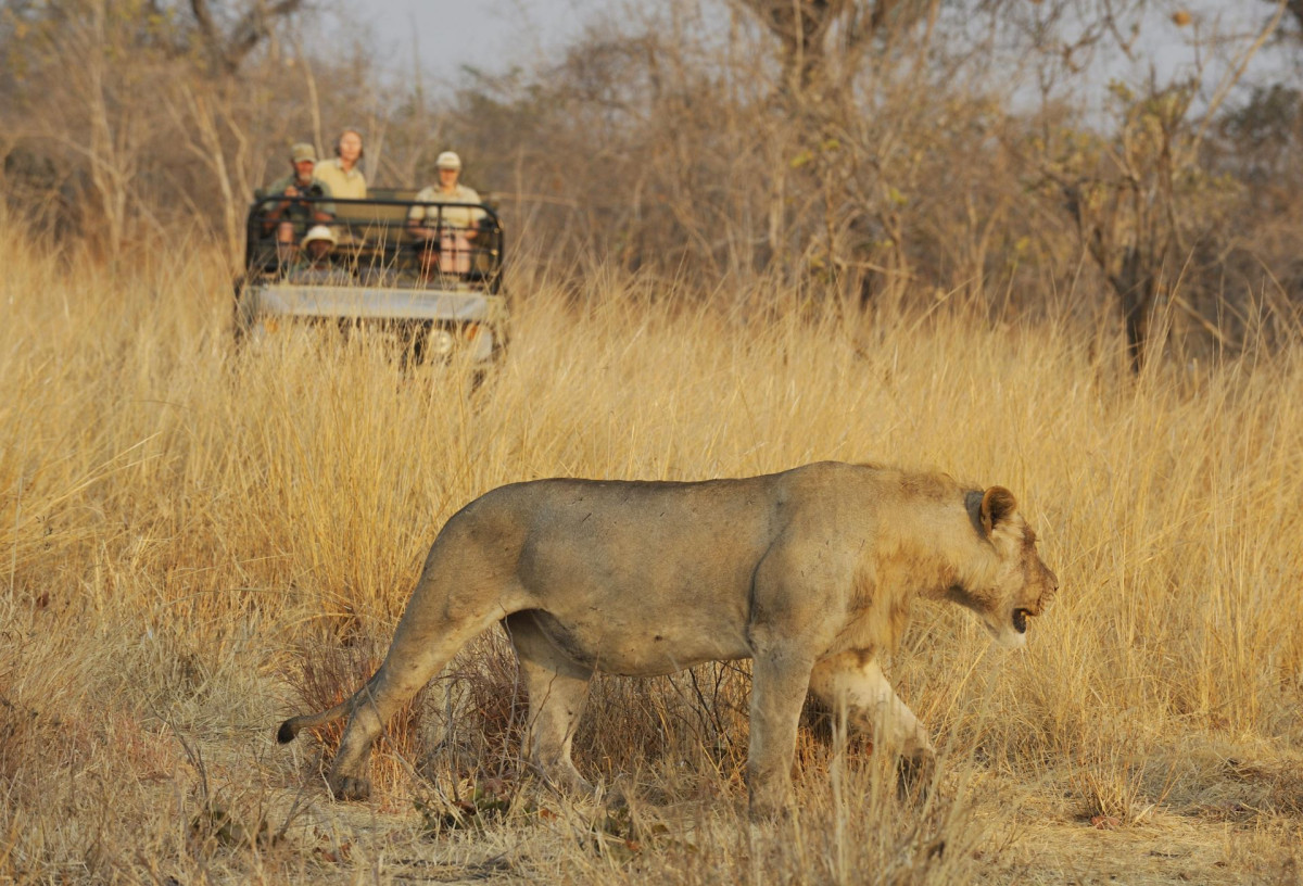 Tafika Camp   |    Foto:  Remote Africa Safaris 