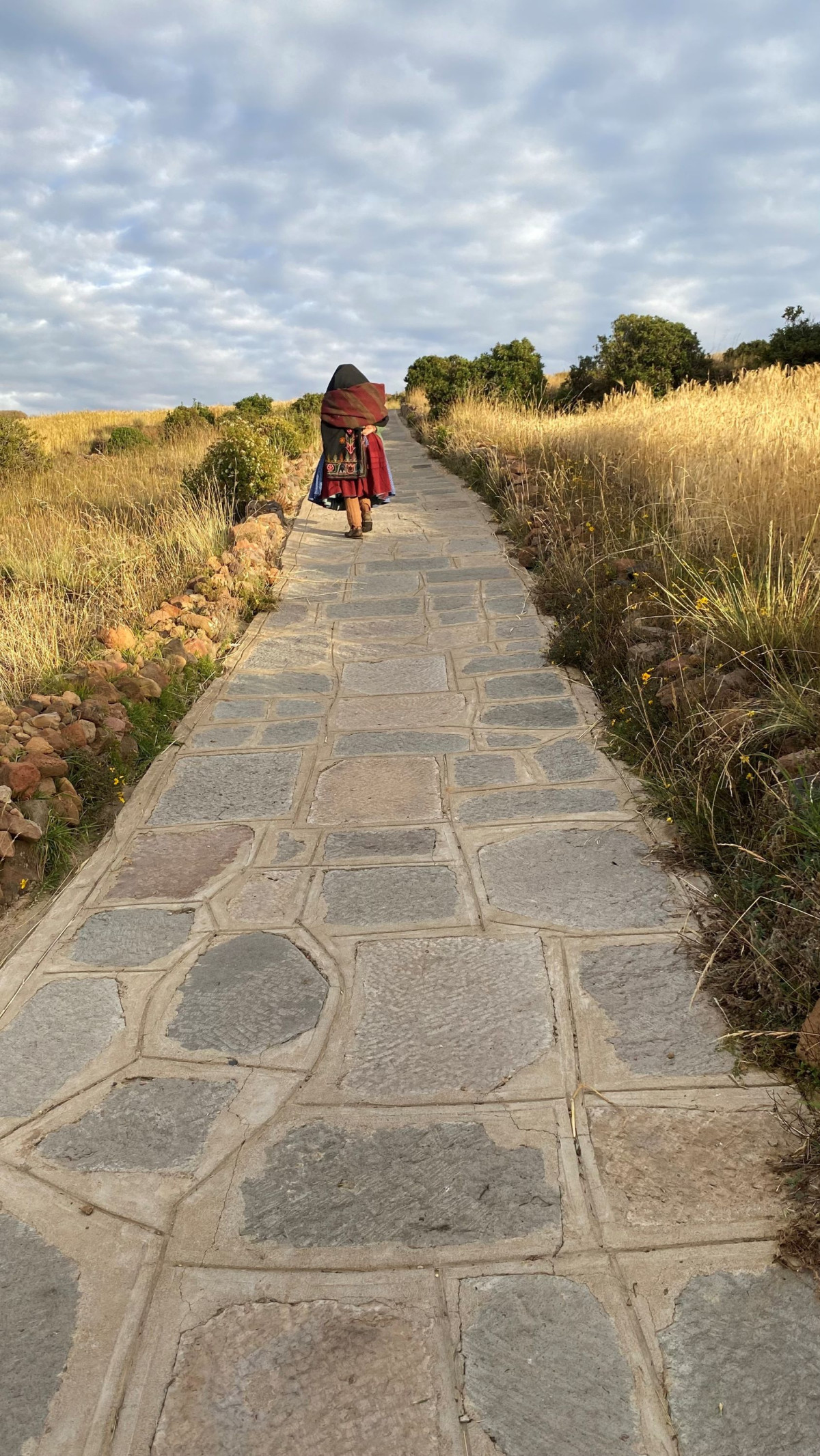     Foto:  Amantica Lodge 