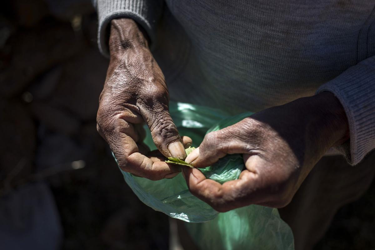      Foto:  Amantica Lodge 