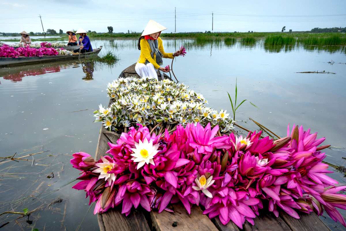 Blomstermarked Mekong