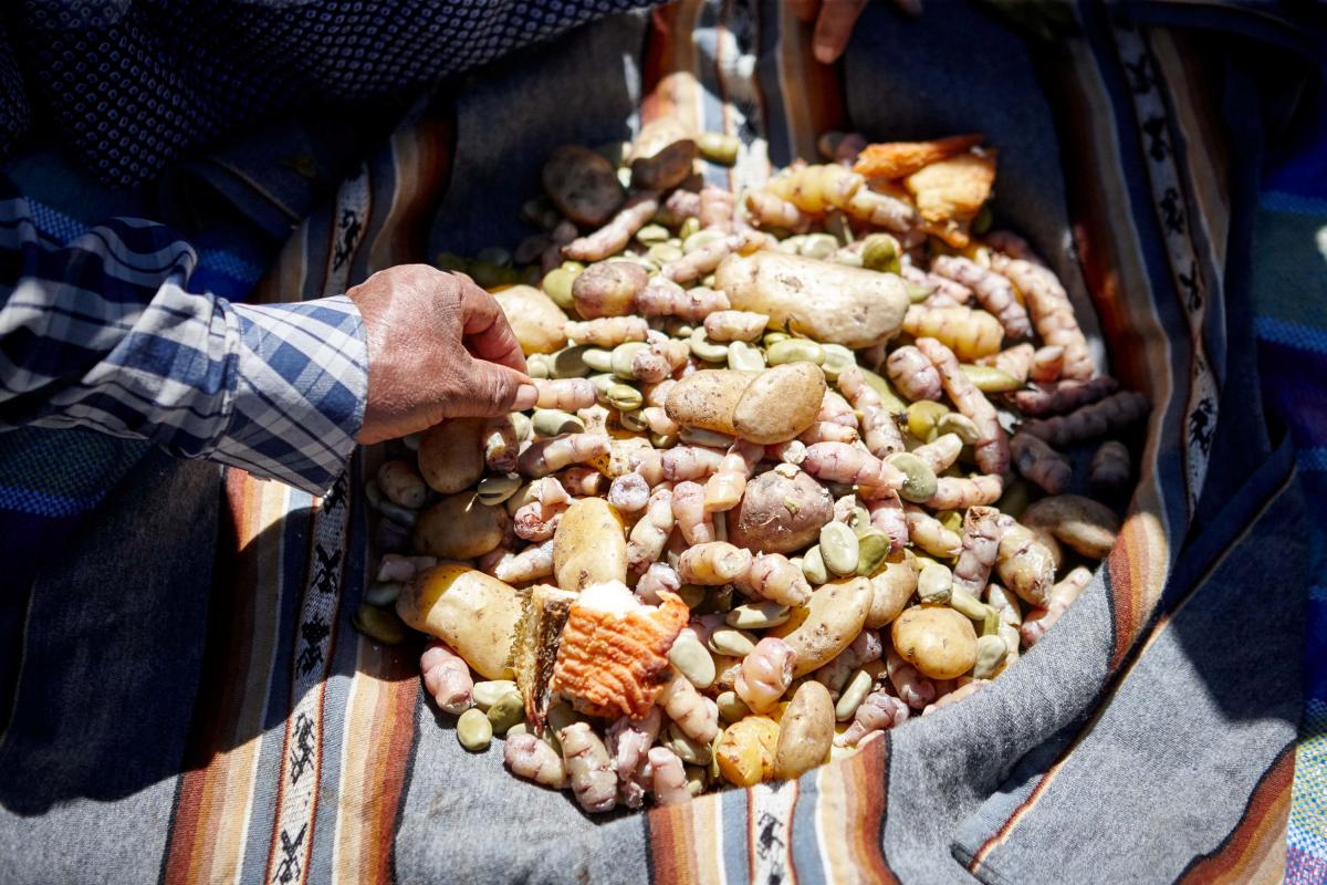     Foto:  Amantica Lodge 