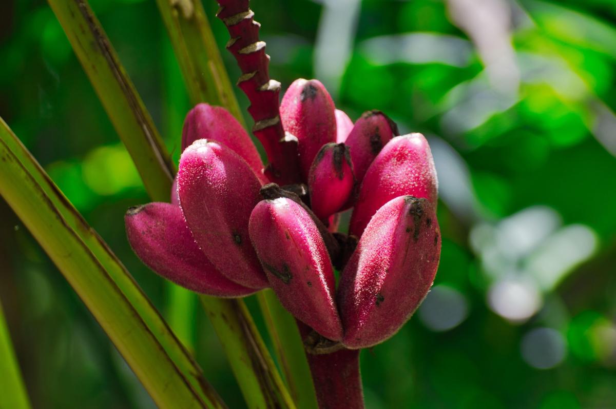      Foto:  Mfuente - Pixabay 