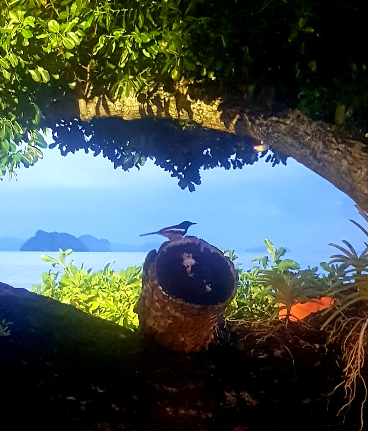      Foto:  Øyhopping i Sør-Thailand | La'mme skreddersyr 