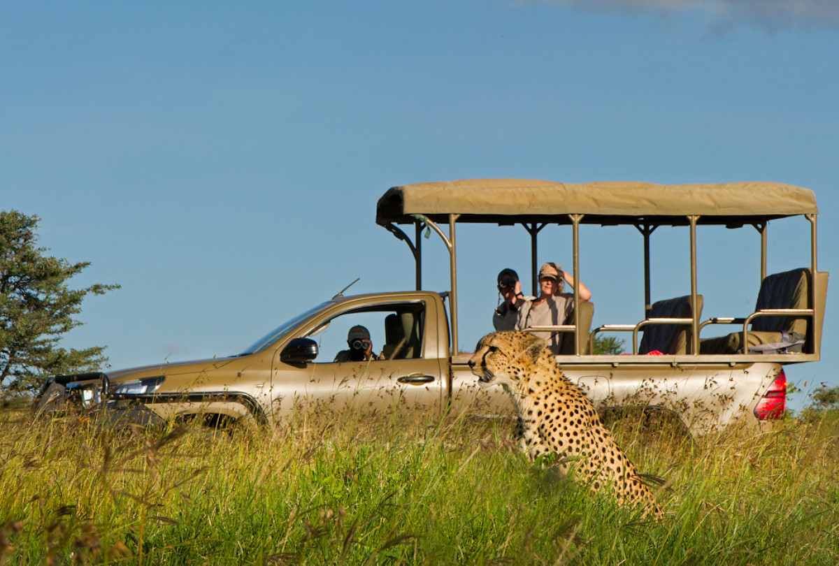 Game drive   |    Foto:  El Karama Lodge 