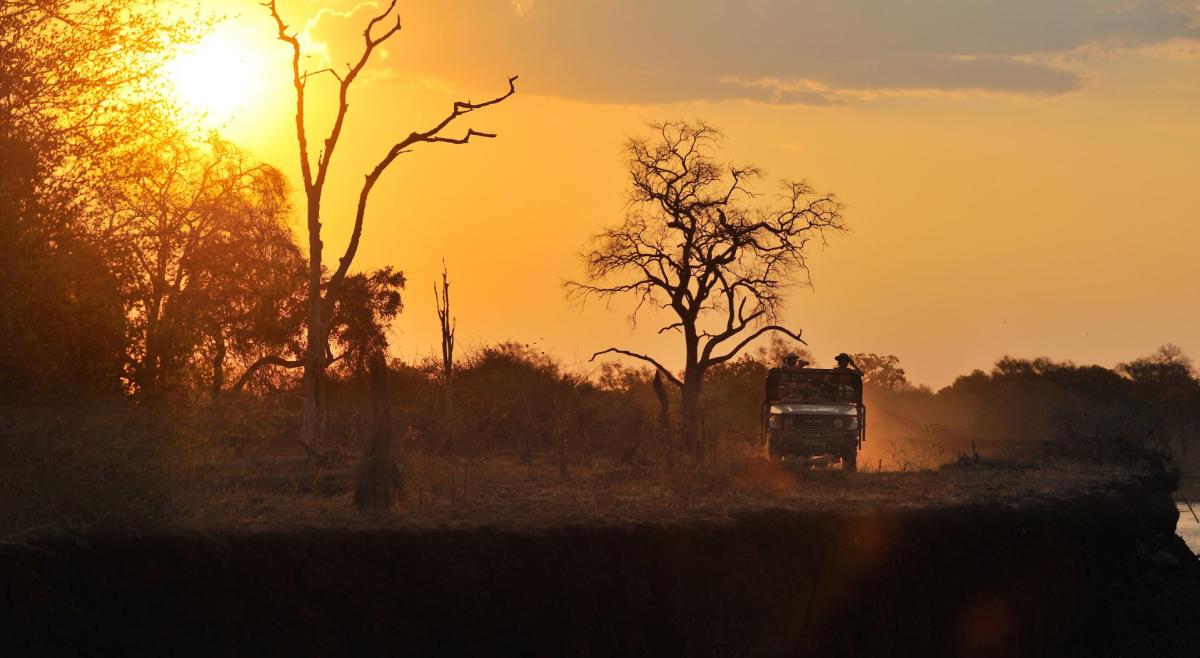 Solndedgang South Luangwa nasjonalpark  |    Foto:  Remote Africa Safaris 