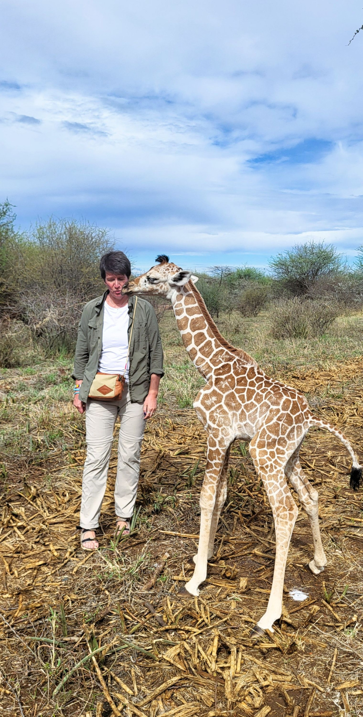 Mama Twiga og baby twiga