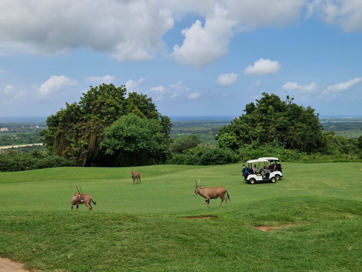 Golf er mulig like ved Cardamom House  |    Foto:  Secluded Africa 