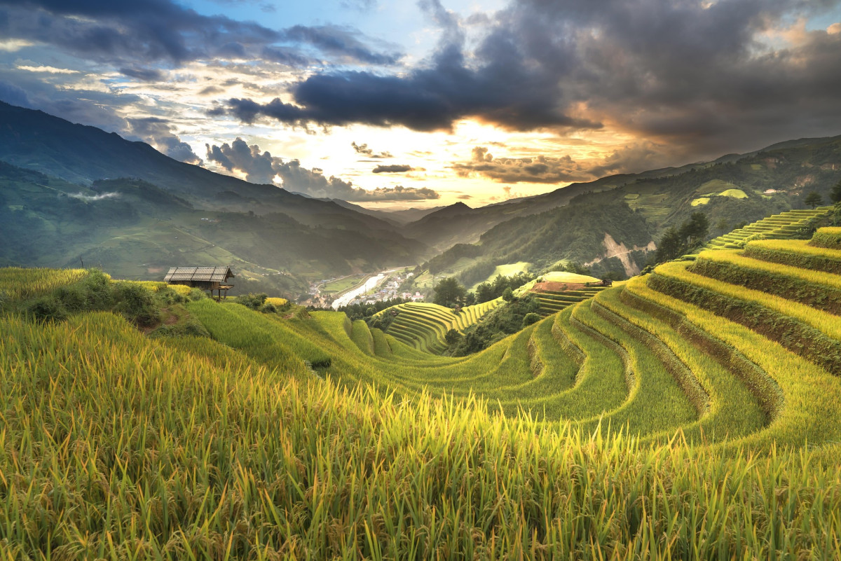 Hoang Su Phi-risterrasser i Ha Giang