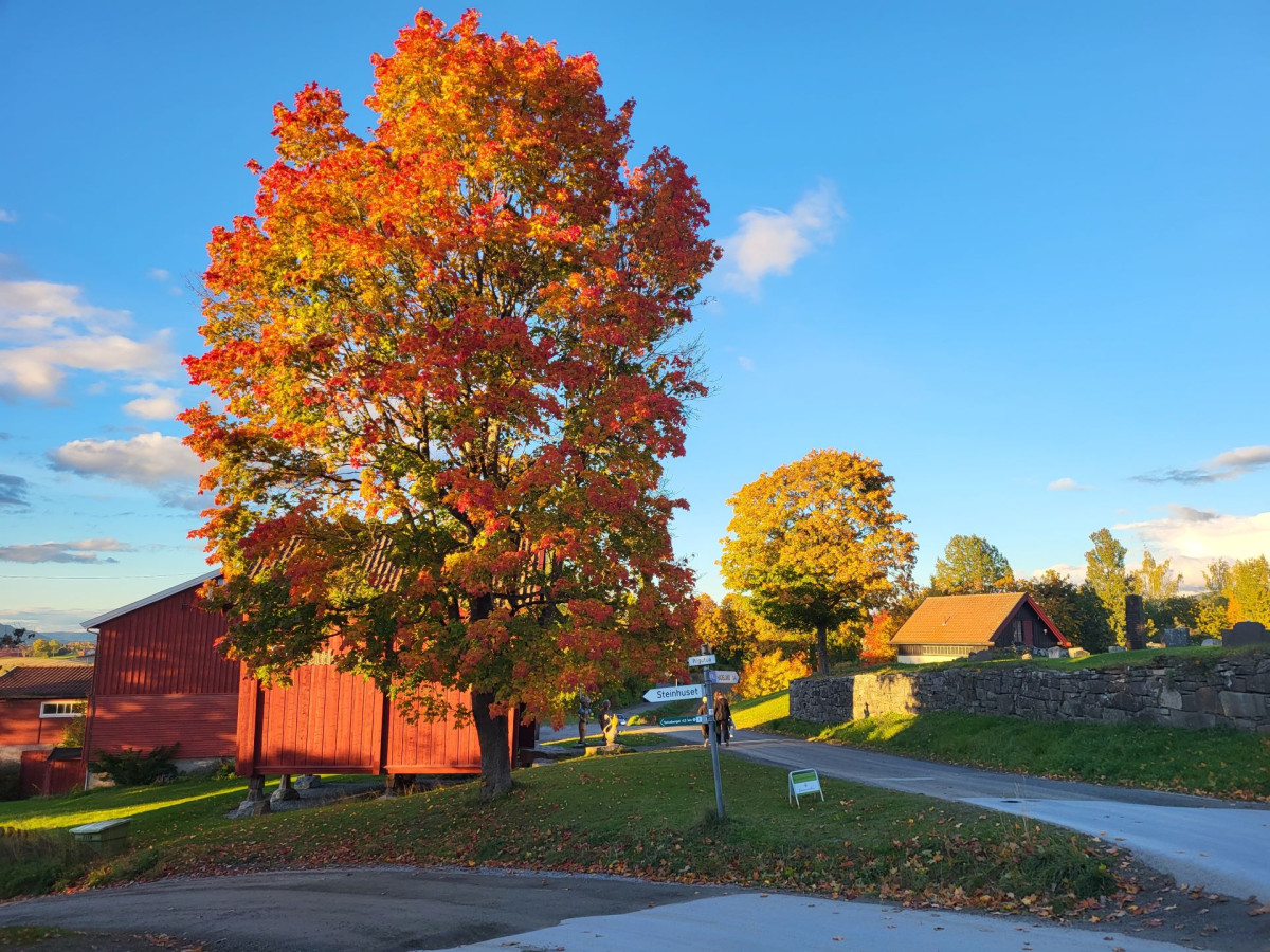 Høsten er spinnvilt vakker med fargene på Granavollen