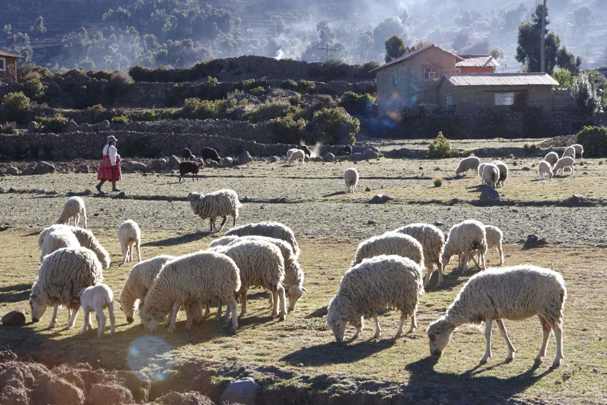     Foto:  Amantica Lodge 