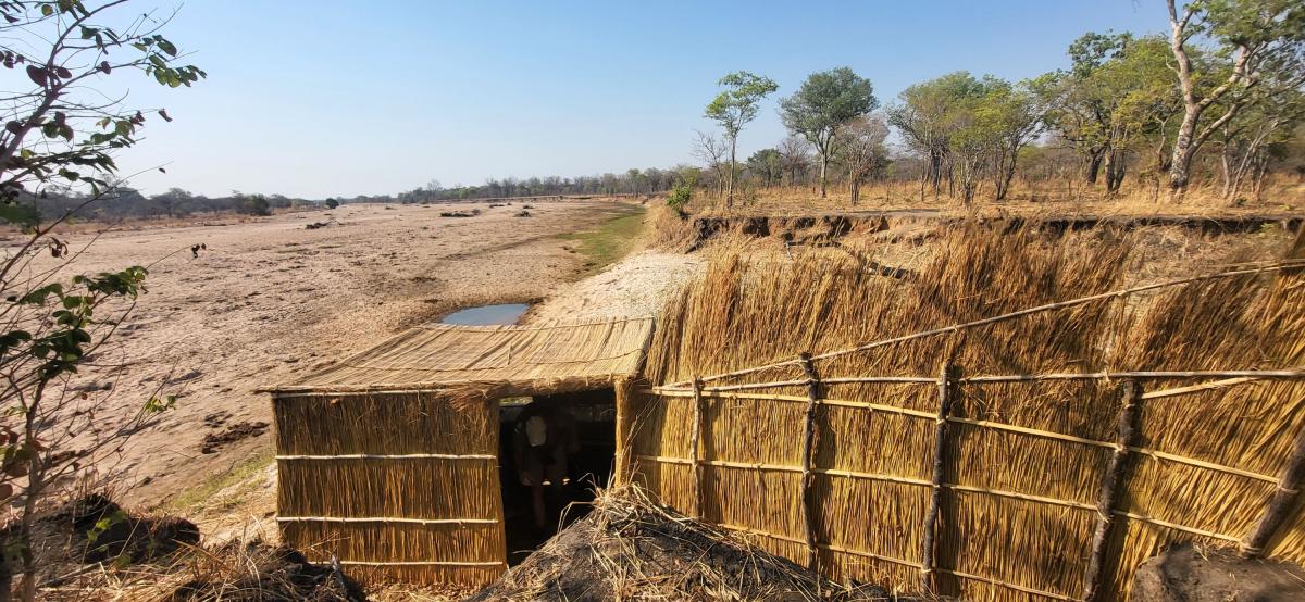 Hide Nkonzi  |    Foto:  La'mme 