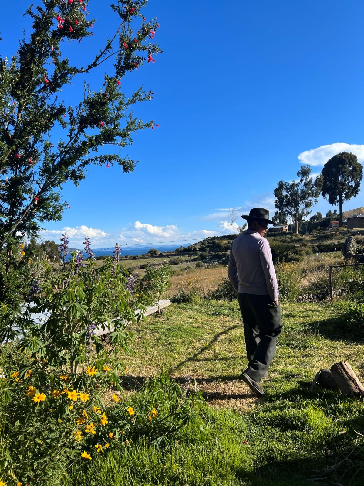     Foto:  Amantica Lodge 