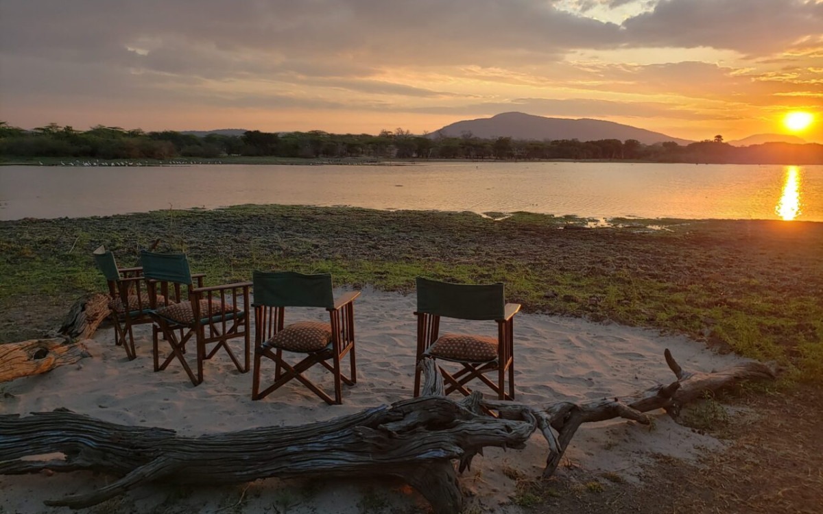 En dag i bushen – Makubi Safari Camp