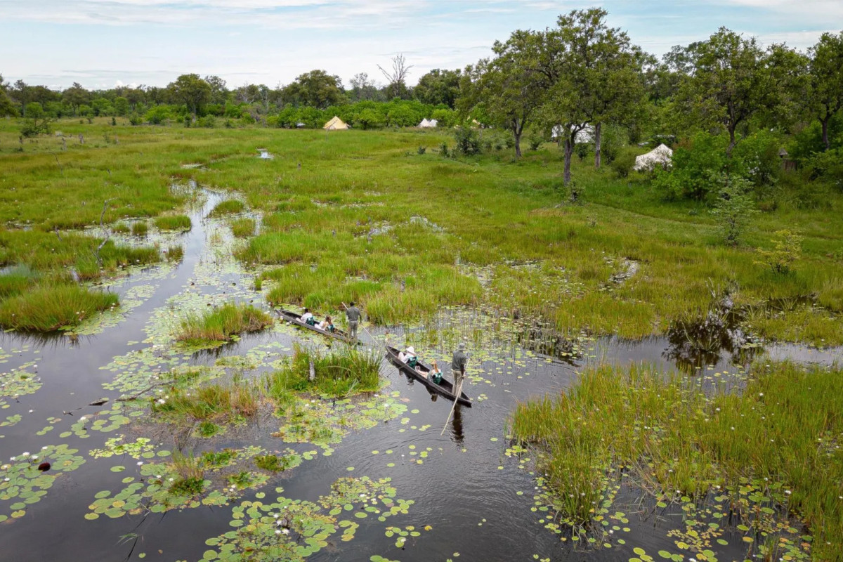 Luksus-safari i Botswana