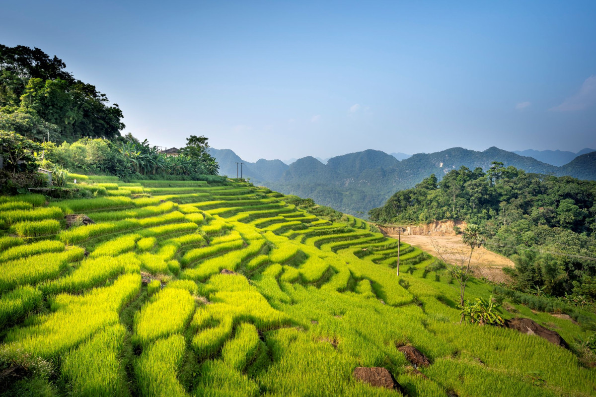 Rice terraces and mountains in Pu Luong