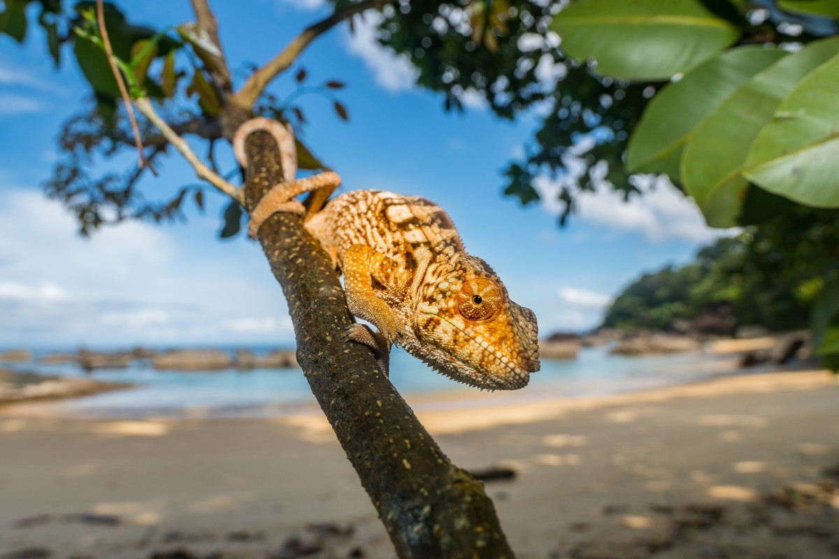 Madagaskar - luksus utenfor turisttråkket