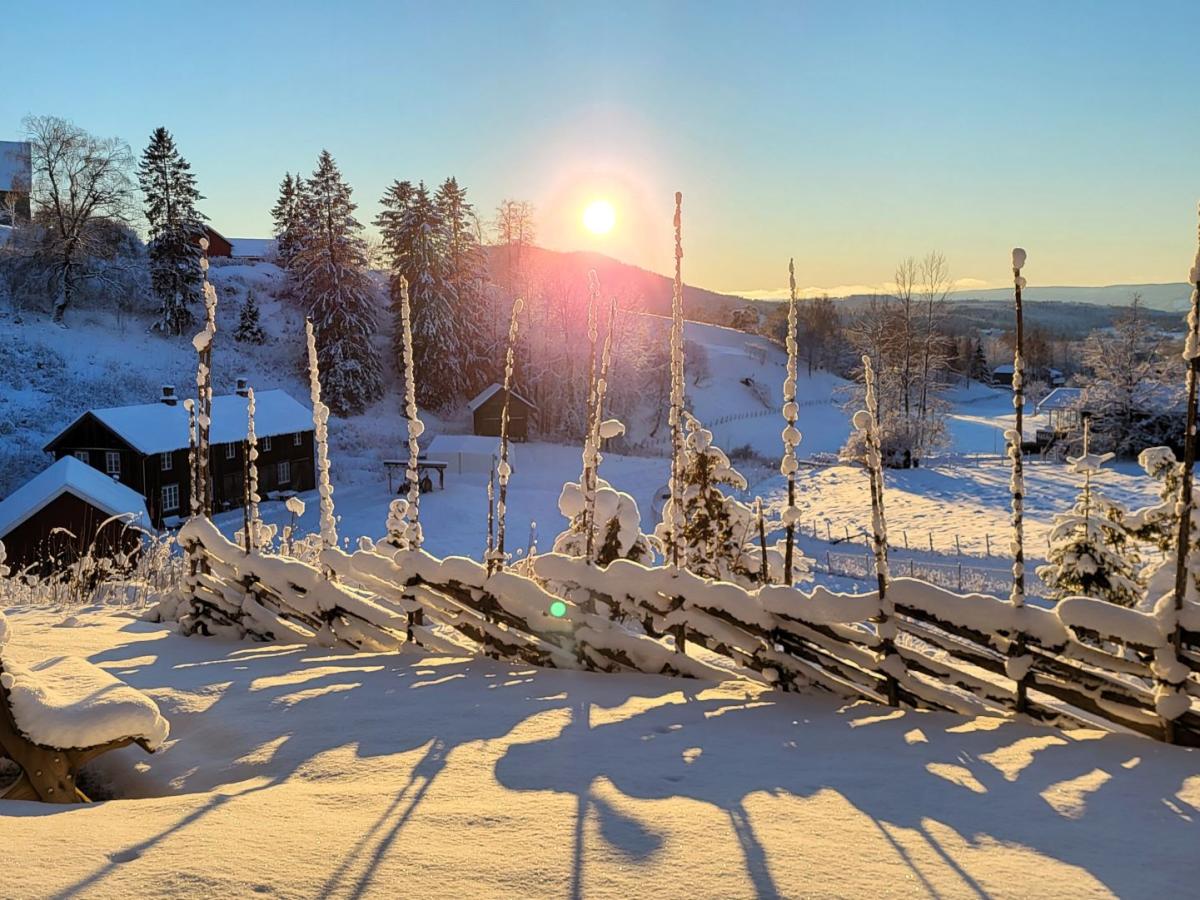 Norge - på lokalt vis