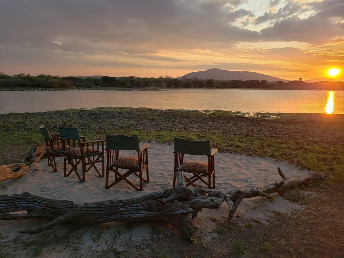 En dag i bushen – Makubi Safari Camp