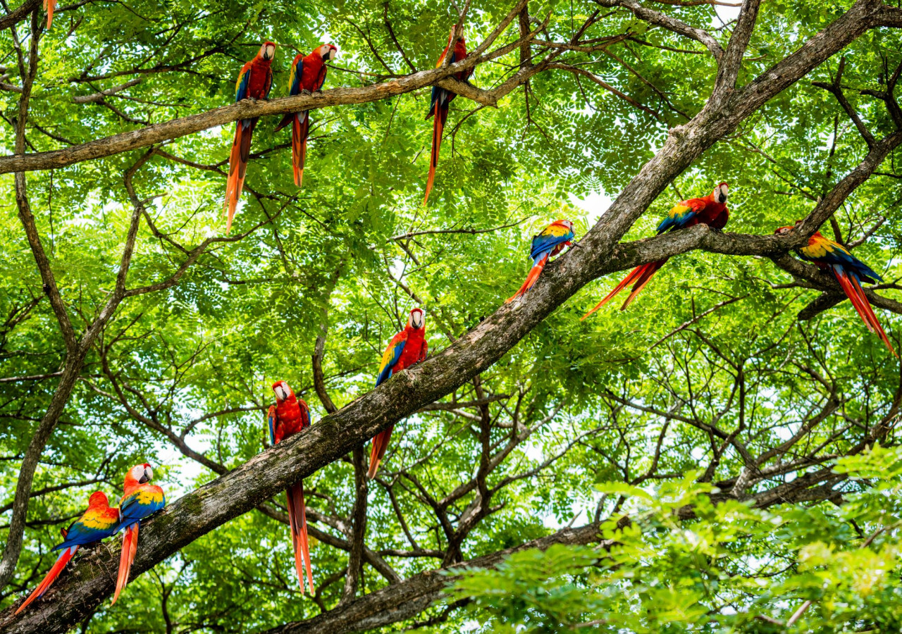 Costa Rica