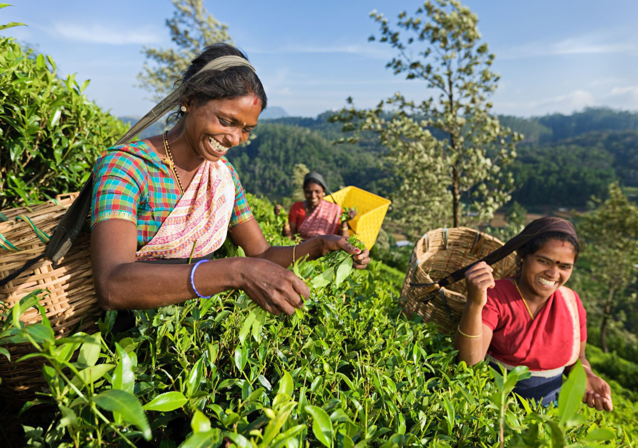 Sri Lanka