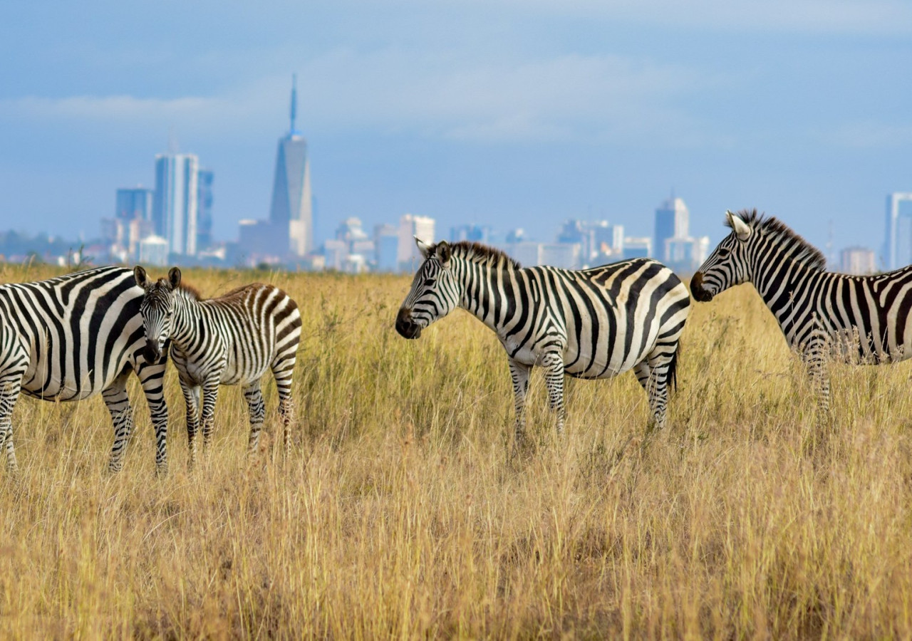 Nairobi