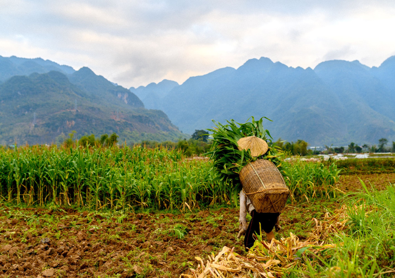 Mai Chau