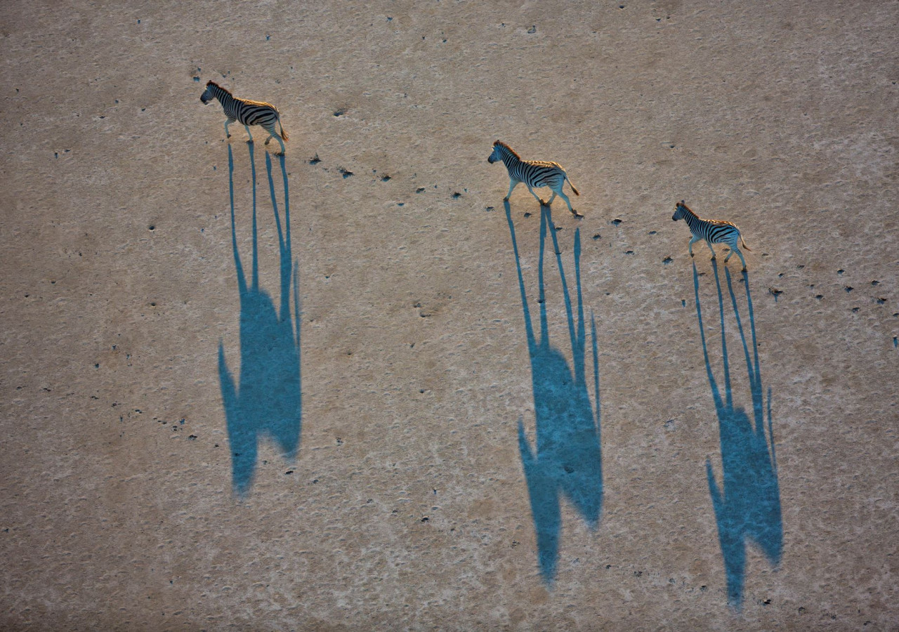 Makgadikgadi Pans