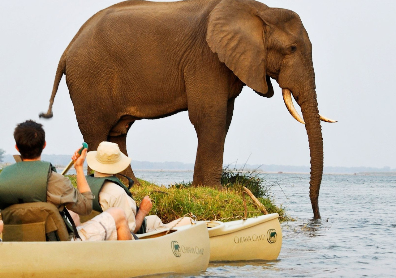 Lower Zambezi Nasjonalpark