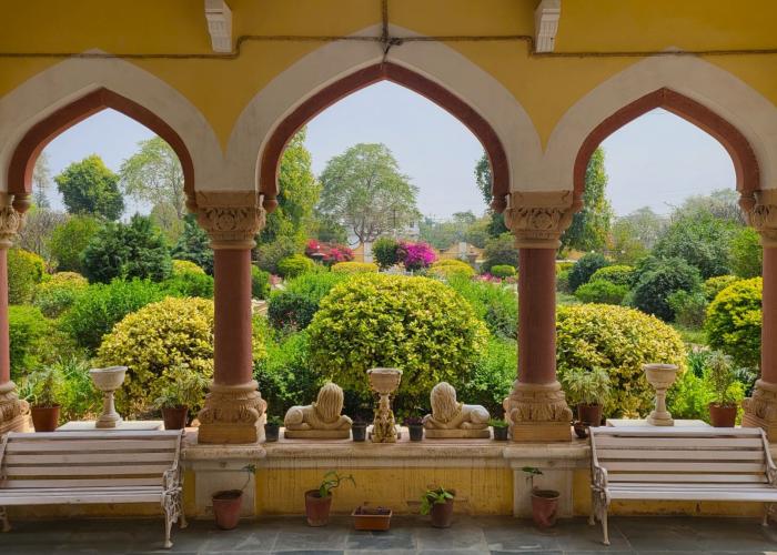 Knallpris på impulsiv snartur til solen