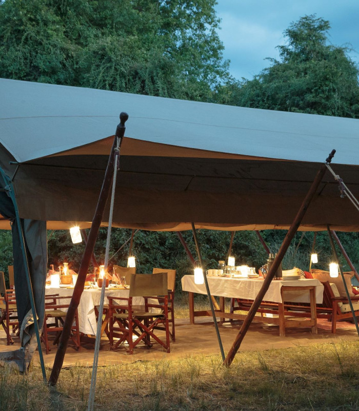 Autentisk safari Zambia