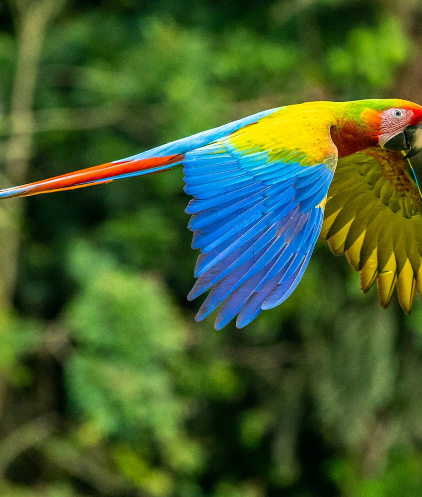 Den Nordlige Regionen