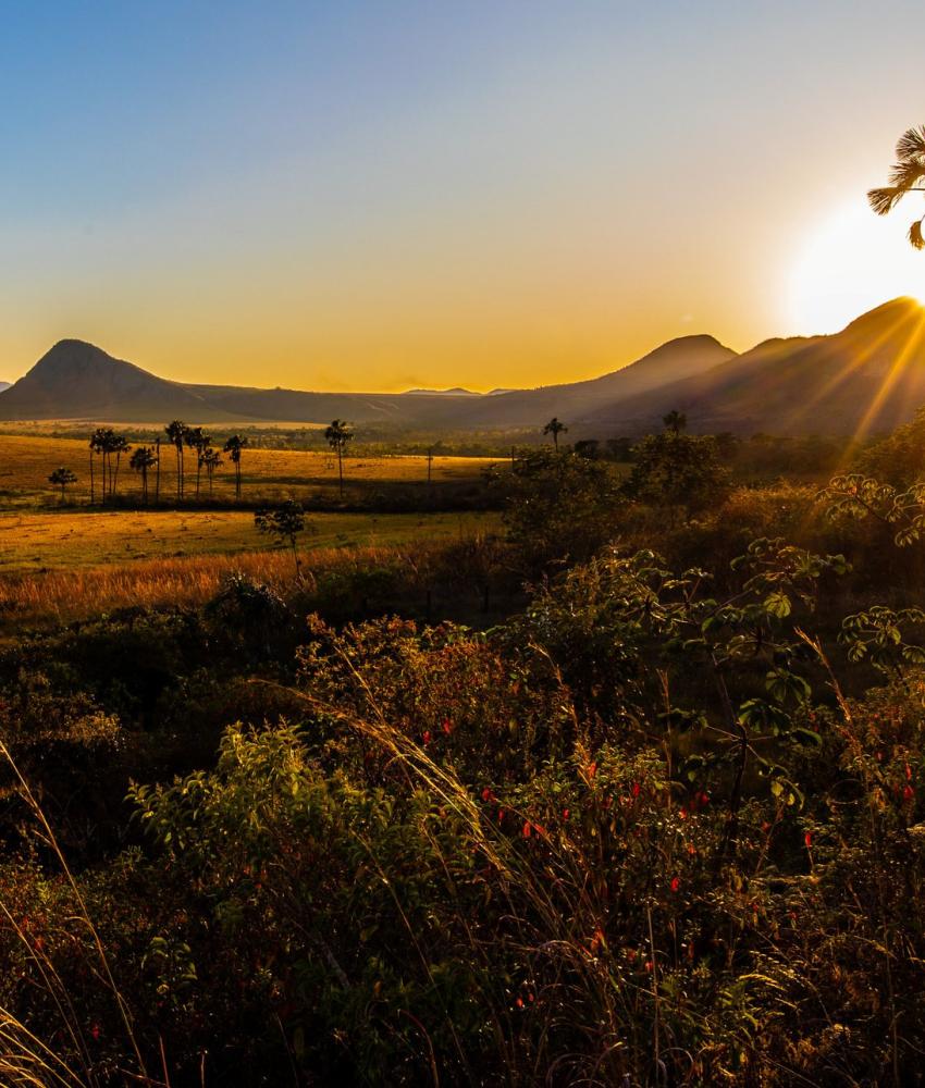 Chapada dos Veadeiros