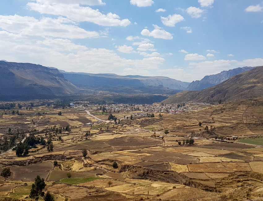 Colca-dalen - Peru