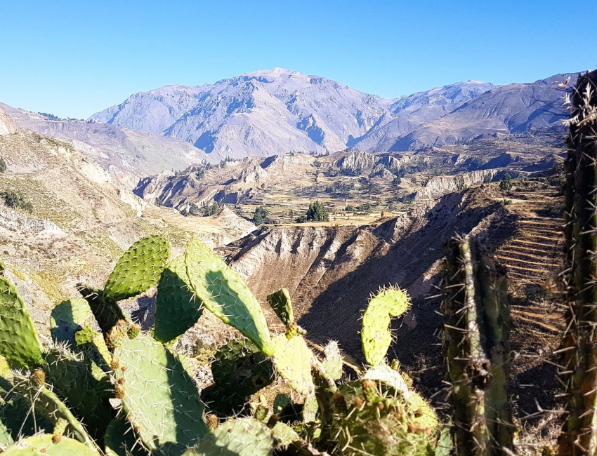 Colca Canyon - Peru