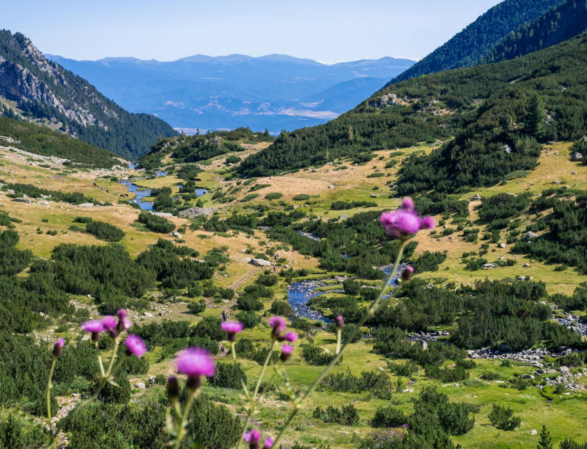 Pirin Nasjonalpark