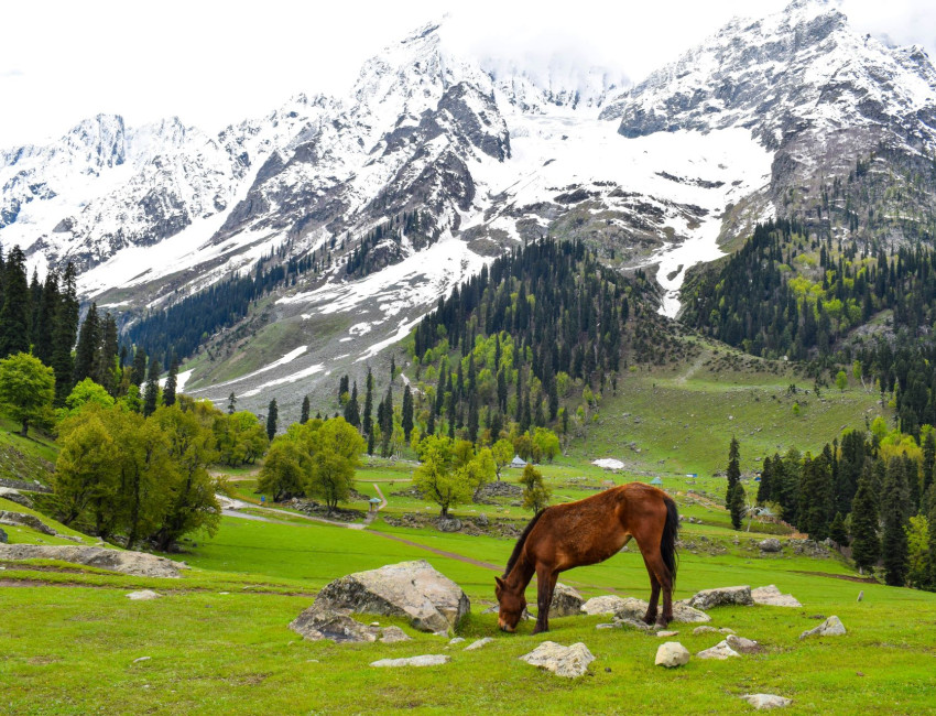 Sonamarg - Kashmir