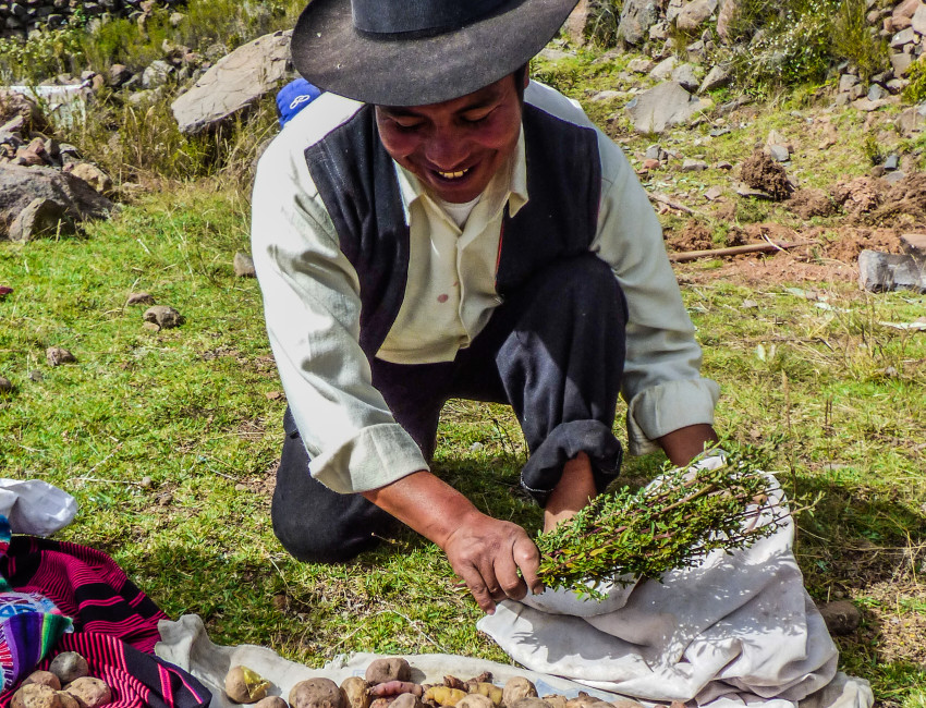 En lokal bonde på en av øyene i Titicacasjøen - Peru