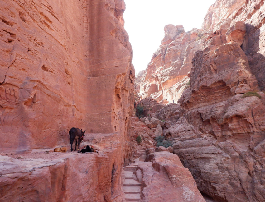 Petra - Jordan