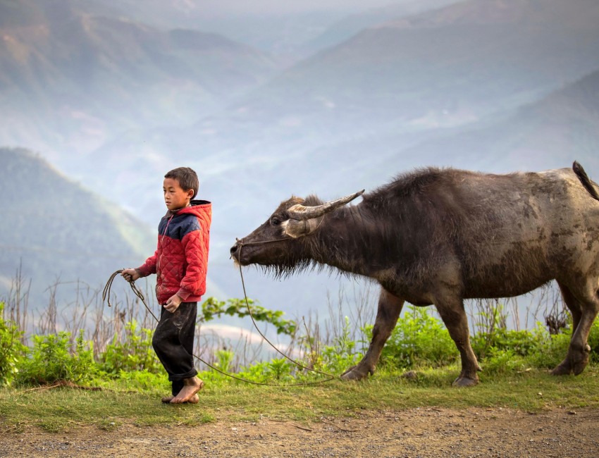 Ha Giang