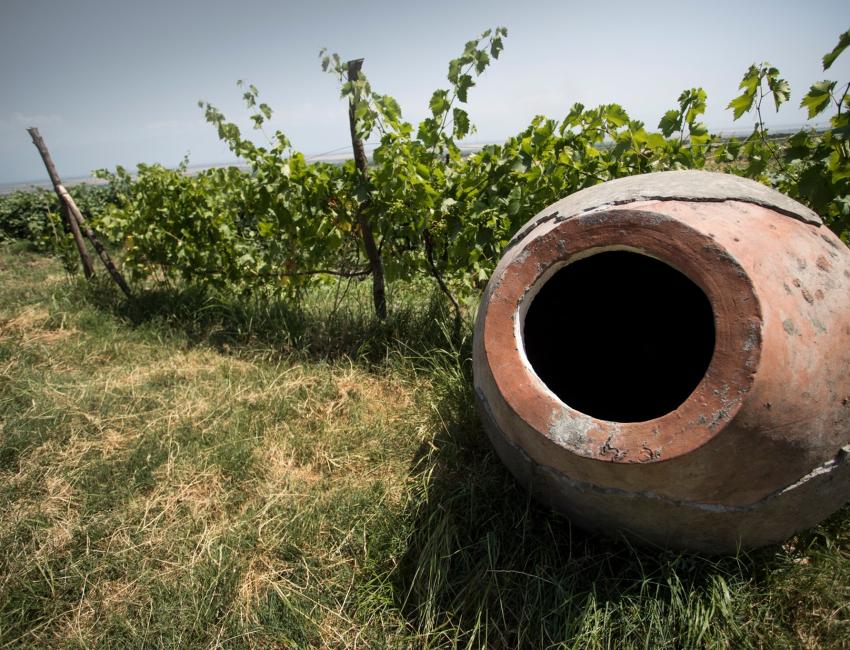 Leirkarene som brukes for lagring av vin - Qvevri-metoden - Georgia