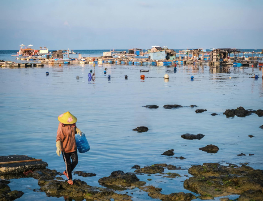 Ly Son Island