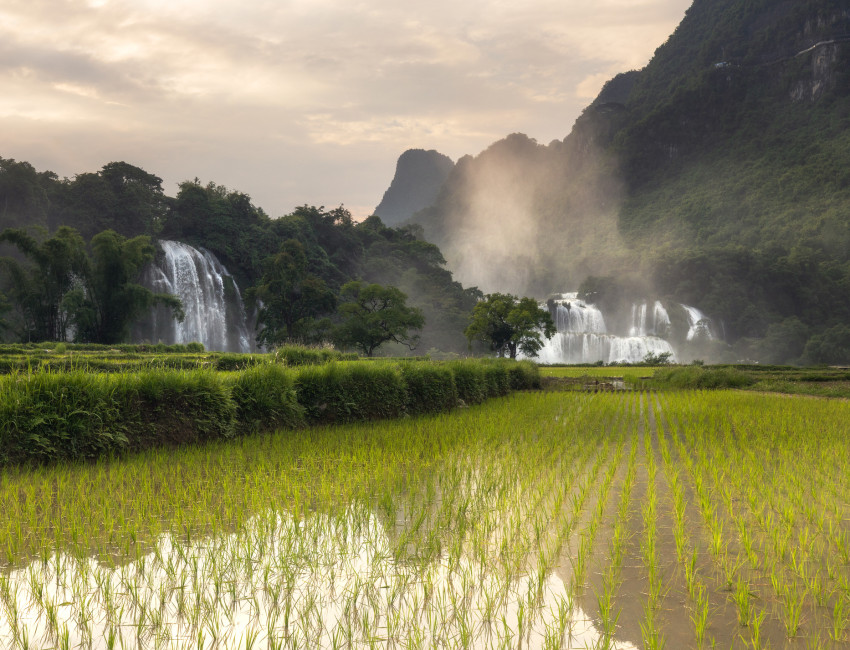 Ban Gioc Waterfall - Cao Bang
