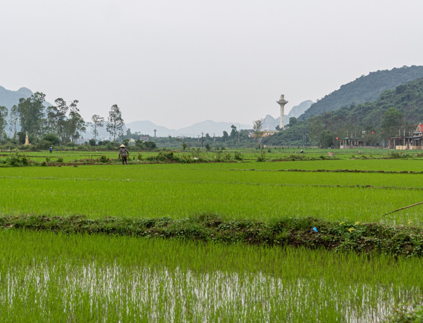Phong Nha