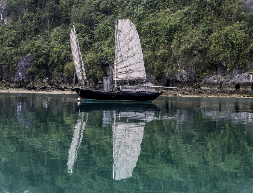 Junk-båt i Bai Tu Long Bay