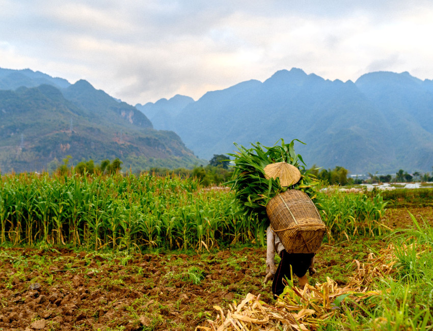 Hoa Binh - Mai Chau